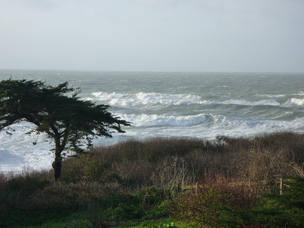 La Criste Marine Groix Quarto foto
